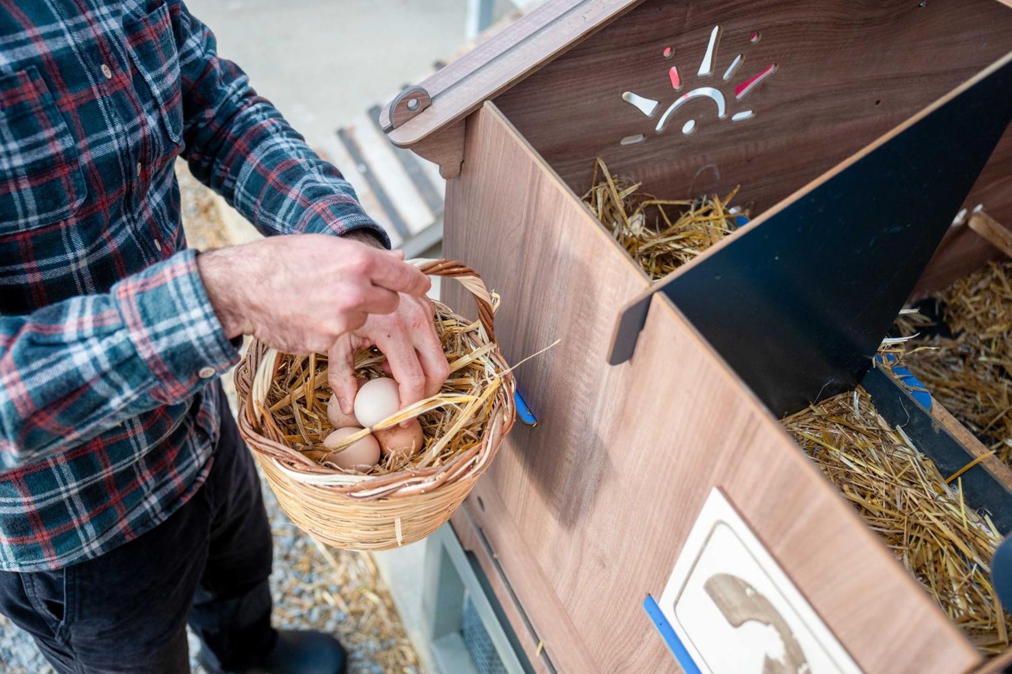 Фермерский дом Milea Agritourism Kapsas