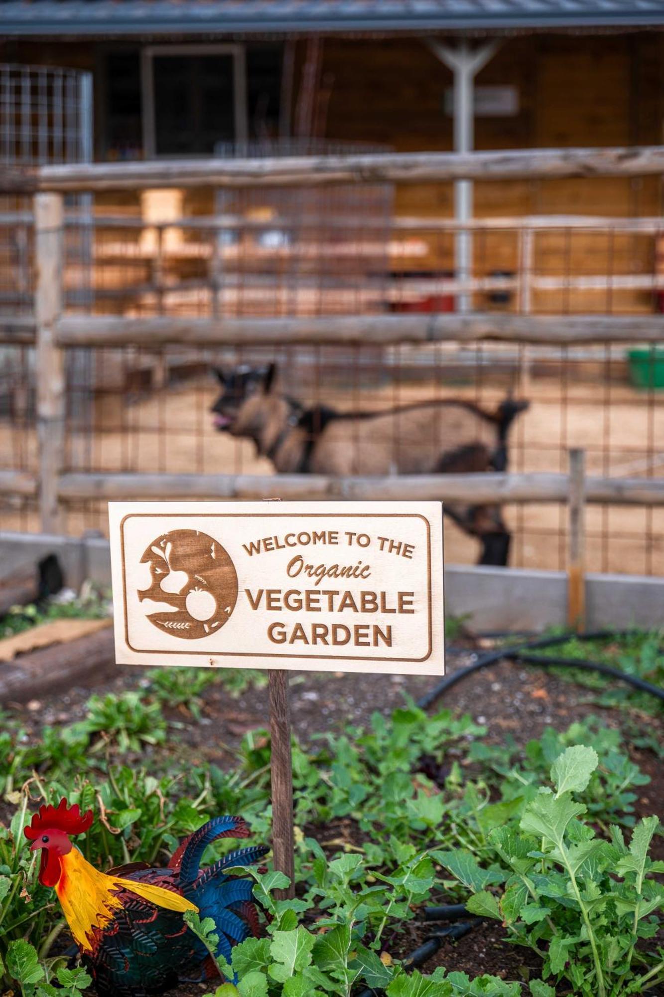 Farm stay Milea Agritourism Kapsas