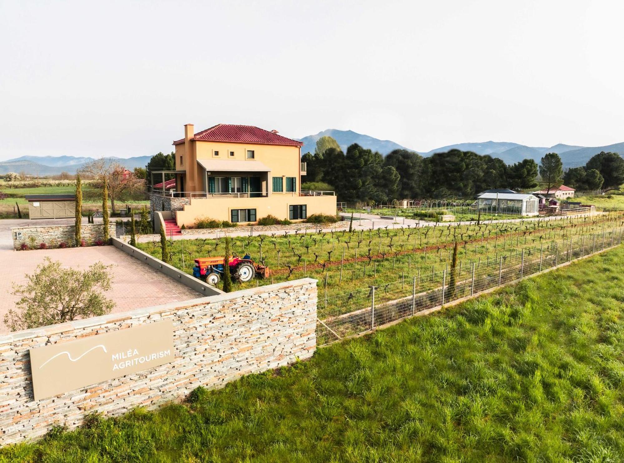 Farm stay Milea Agritourism Kapsas