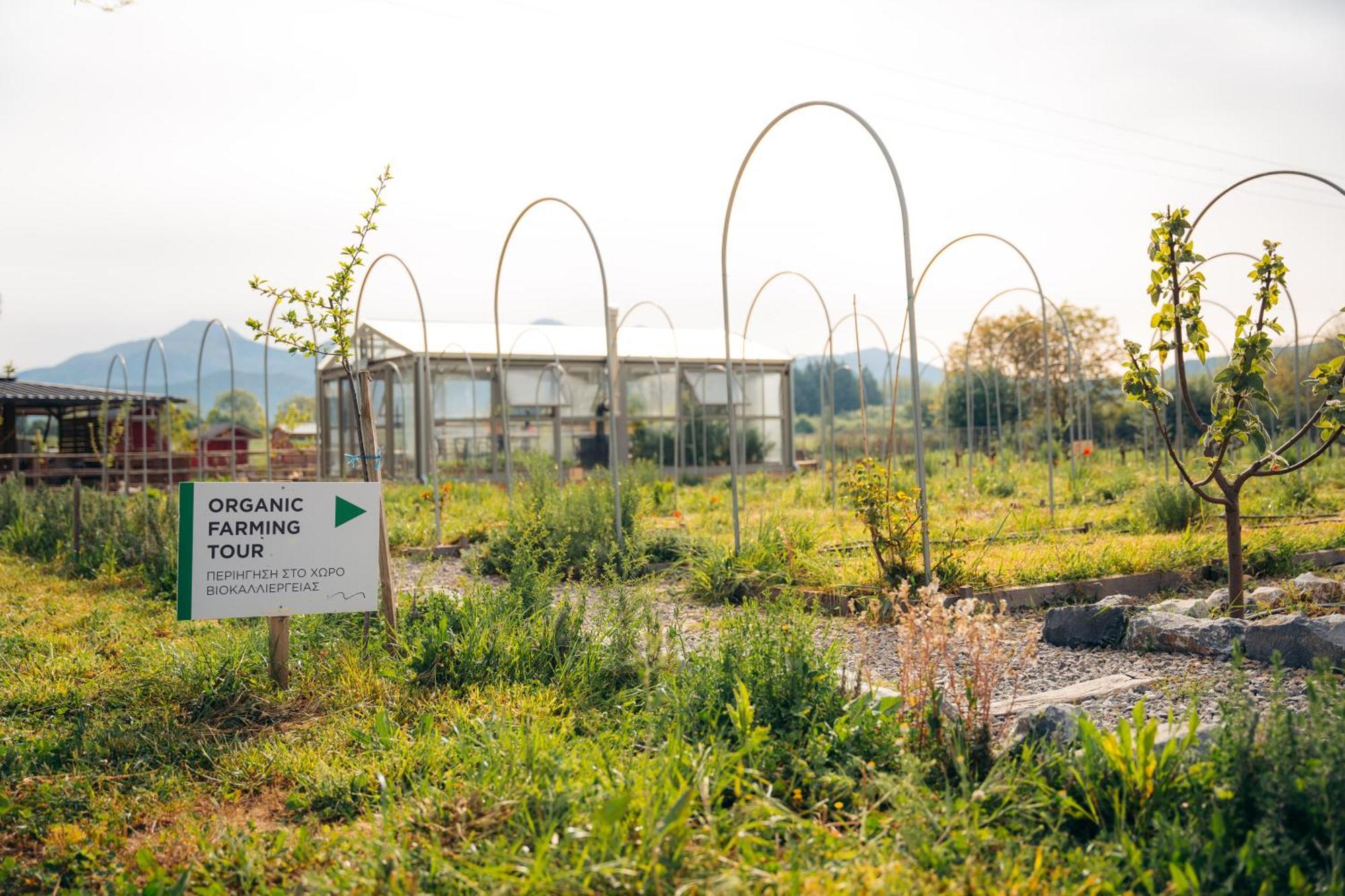 Farm stay Milea Agritourism Kapsas