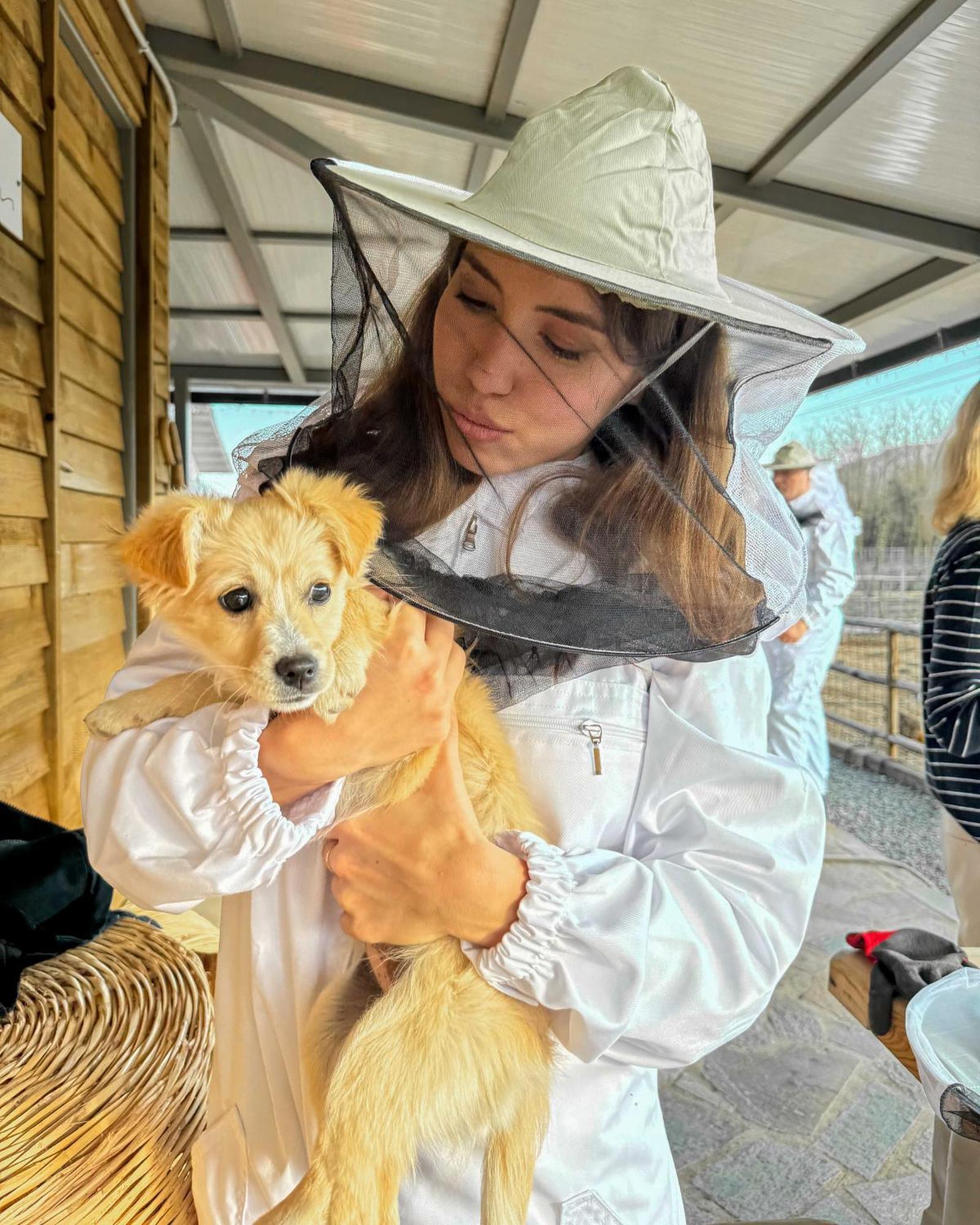 Milea Agritourism Фермерский дом Kapsas