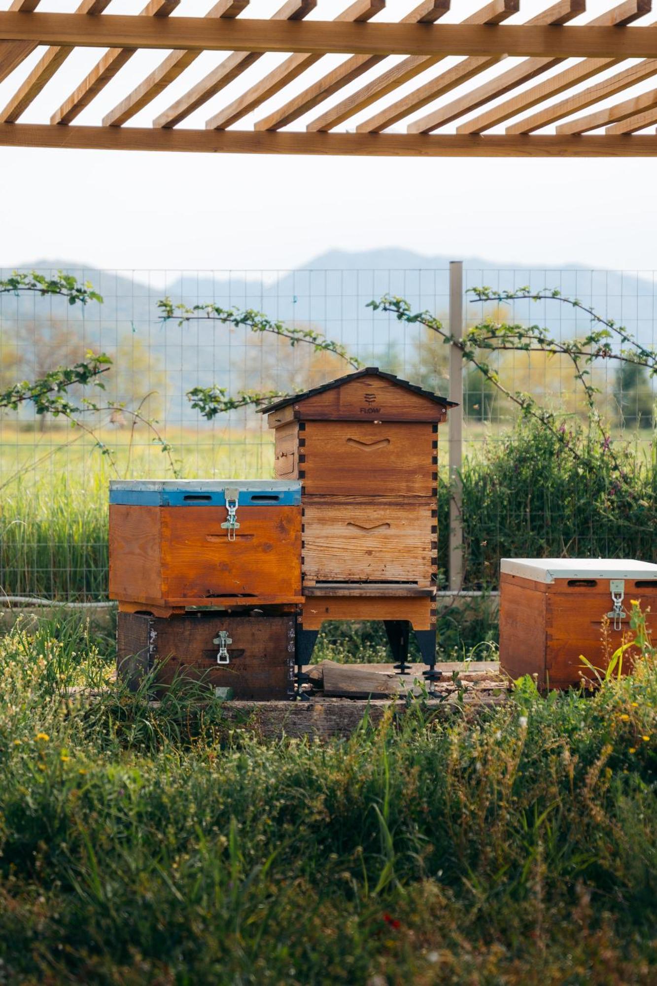Farm stay Milea Agritourism